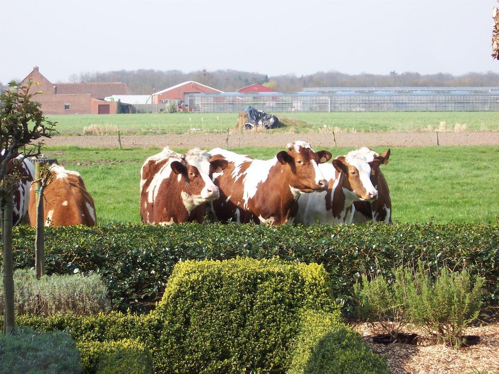 Hébergement de vacances Vakantielogies Boerke Naas *