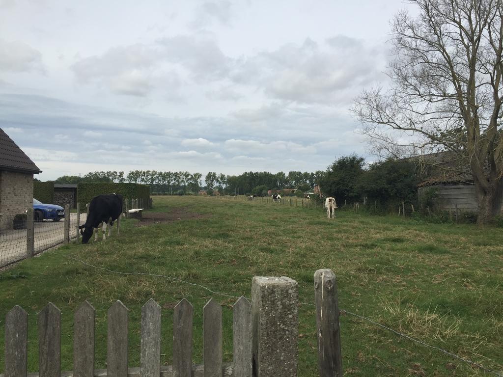 Vakantielogies Boerke Naas Hébergement de vacances Bruges