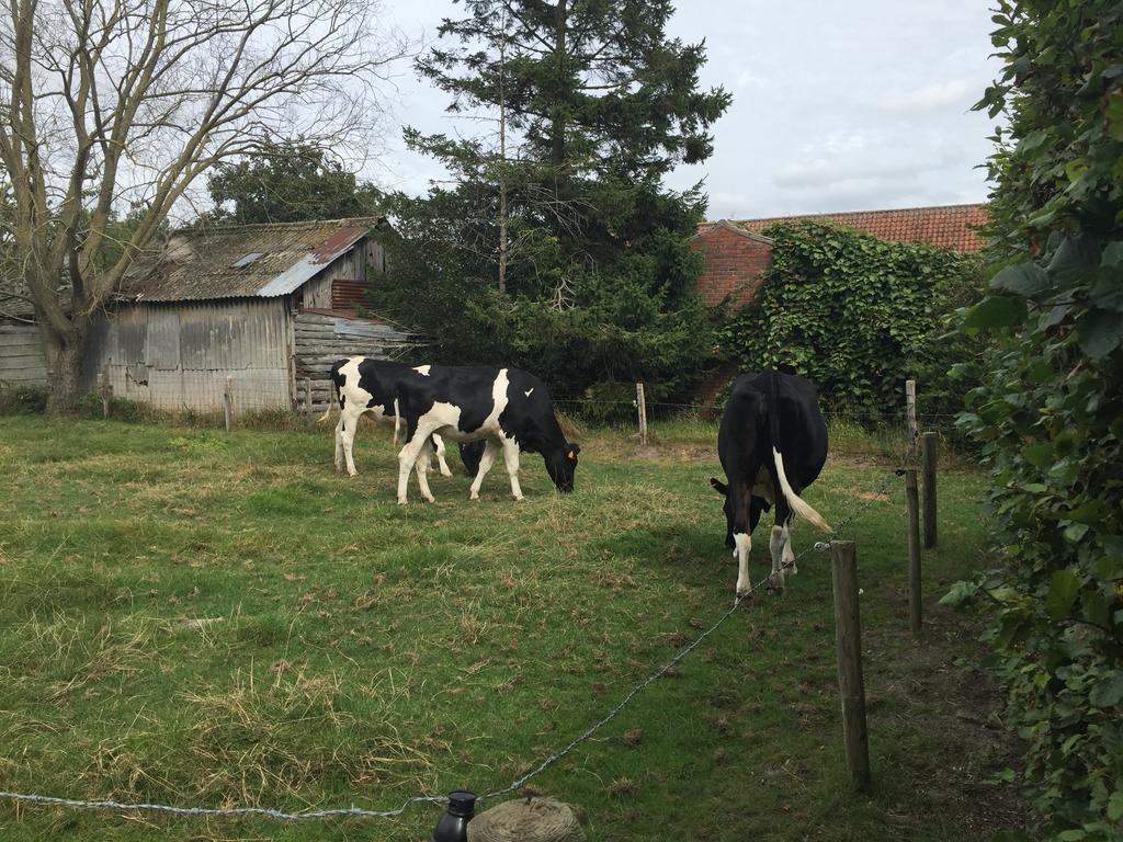 Vakantielogies Boerke Naas *