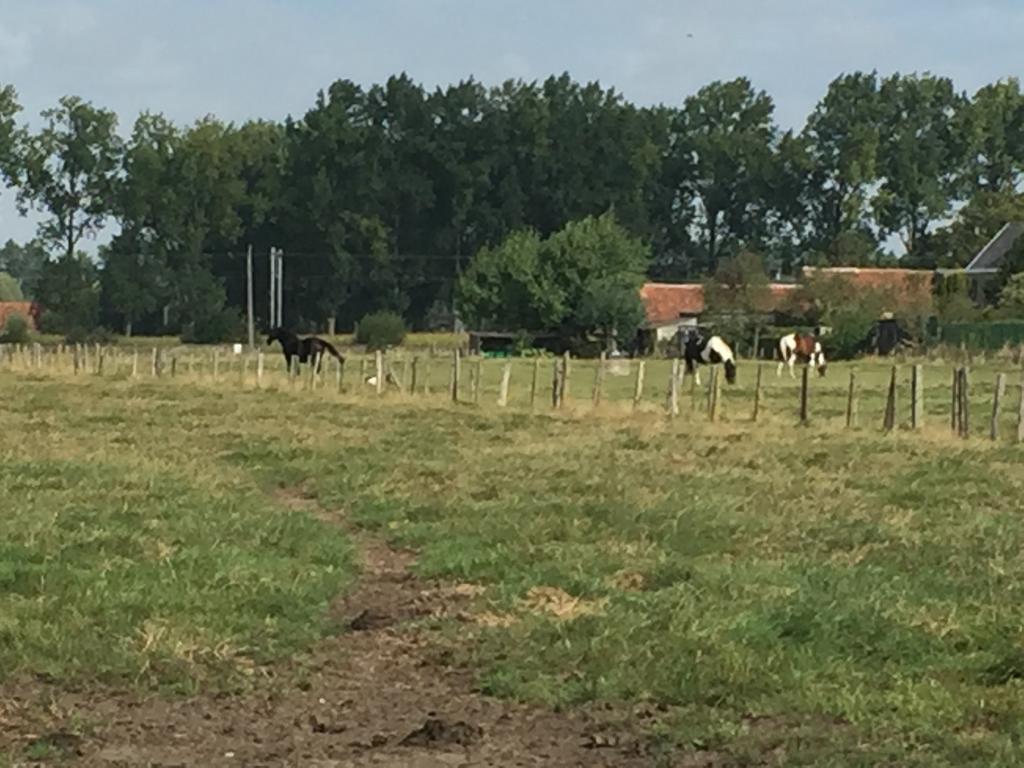 Vakantielogies Boerke Naas *