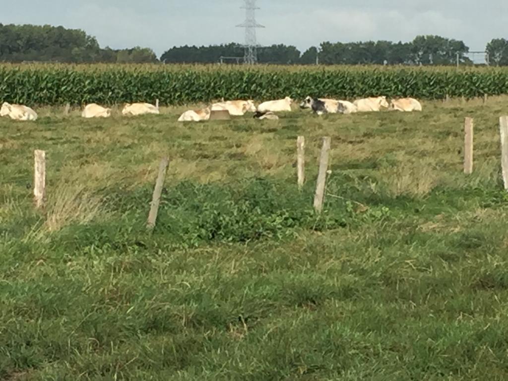 Vakantielogies Boerke Naas Hébergement de vacances Bruges